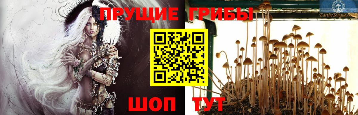 Югорск  Галлюциногенные грибы GOLDEN TEACHER  Вход с VPN  Псилоцибиновые грибы мицелий 